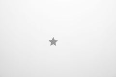 Star · Crystal Fabric · Silber
